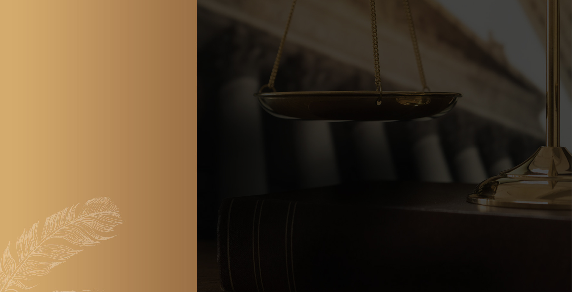 rev slider background image 2